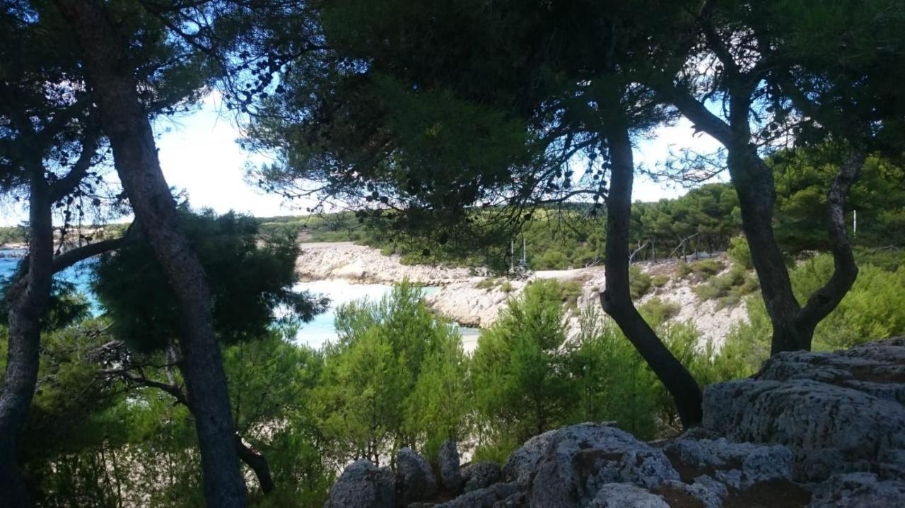 Appartement Vue Mer Le Chant Des Cigales Sausset-les-Pins Exterior foto